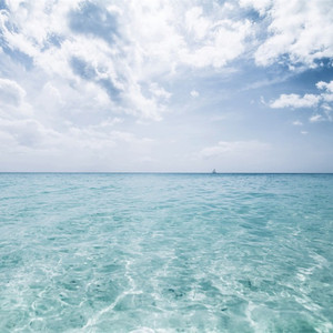 纲手❌❌❌裸体拔萝卜网页版
